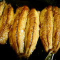豆大福モッチ's cooksnap of when they made 黄金たれで いわしの蒲焼き.