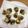 木村さんちのお嫁さん's cooksnap of when they made いわしの梅しそチーズ巻き.