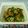 こたらパッド's cooksnap of when they made 万能！オクラ納豆の作り方＊.