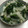 キャップとラム's cooksnap of when they made ほうれん草と大根のナムル.