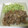 はっぴぃジャム☆'s cooksnap of when they made 簡単美味しい豚の生姜焼き.