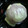 ranmao☆'s cooksnap of when they made ☆トマト丸ごとチーズのせて焼いてみたよ☆.