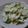 イエローバード's cooksnap of when they made ちぎりキャベツの梅マヨサラダ.
