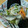 mannao's cooksnap of when they made 骨まで軟らか！アジの南蛮漬け.