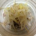ななえ先生's cooksnap of when they made 茹でキャベツもやし豚こまのヘルシーサラダ.