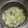 クックZ8J4H4☆'s cooksnap of when they made キャベツとシメジのスープ.