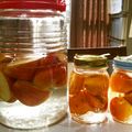 こっこみん's cooksnap of when they made 手作り柿酒.