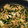 クックB7IFH2☆'s cooksnap of when they made ほうれん草と豚バラ炒め.