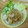 ピーナッツ子♪'s cooksnap of when they made 新たまねぎを食べる豚肉のしょうが焼き.