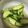 たゆひママ's cooksnap of when they made きゅうりの即席浅漬け.