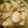 goemono's cooksnap of when they made 鶏と卵のさっぱり煮.