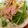 卵せんべい's cooksnap of when they made ☆ツナコーン大根サラダ☆.