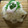 slatスラット's cooksnap of when they made 梅とろろの冷やし素麺.