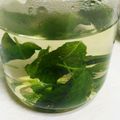 ユキノシタ。's cooksnap of when they made ミントティー 改善中★砂糖不使用.