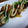 とーみママ's cooksnap of when they made 簡単とり肉の照り焼きネギマヨ★.