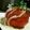沙耶2499's cooksnap of when they made おもてなしに是非！トマトのレモンサラダ.