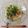 クックLPZN1M☆'s cooksnap of when they made 手作りゴマダレのサラダうどん.