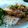 沙弥0523's cooksnap of when they made ♬ピリ辛！豚キムそうめん♬.