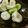 低カロ探検隊's cooksnap of when they made かんたん！空豆.
