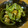 低カロ探検隊's cooksnap of when they made ピーマンとちくわの照りマヨ炒め.