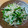 mahopyon's cooksnap of when they made シャキッと旨いニラもやし炒め.