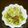 みみりん♪♪'s cooksnap of when they made 『ひき肉の春雨野菜セット』.