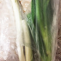 sayooo's cooksnap of when they made 長ネギの保存方法(*´ڡ`●).