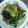 みるくたぬき's cooksnap of when they made 【がっつり×ヘルシー】豚肉の小松菜炒め.