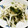 クックO39Q4M☆'s cooksnap of when they made 速攻一品！きゅうりともやしのナムル♪.