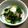 2ueko's cooksnap of when they made 母の味☆タコの酢の物.