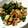 蒼天蒼空's cooksnap of when they made 鶏肉とししとうの照焼き.
