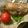 クックあこ's cooksnap of when they made ☆ボカディージョ☆スペイン風サンドイッチ.