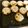 あきこと銀's cooksnap of when they made ズボラでもOK！簡単すぎるマドレーヌ.