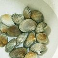 太巻きたまご's cooksnap of when they made 魚河岸直伝！簡単！アサリの砂抜き☆.