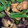 クック1PNL8C☆'s cooksnap of when they made 簡単　ナス＆ピーマンの生姜醤油炒め.