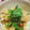 ＄ophie's cooksnap of when they made 炊飯器で★きのこトマトのバター醤油ピラフ.
