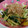 ぷちょ。's cooksnap of when they made きゅうりの梅みぞれサラダ 簡単.