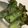 まいうぅ's cooksnap of when they made お野菜たっぷり生春巻き！簡単ソースも！.
