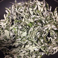 マダムかすみん's cooksnap of when they made ヨモギ茶.