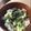 caruga's cooksnap of when they made 縞鯵のアボカド漬け.