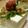 ひなパパマン's cooksnap of when they made 梅おかか冷ややっこ♪.