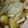 kujira1213's cooksnap of when they made 圧力鍋で簡単♪離乳食に！基本の野菜スープ.