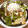 T0moco's cooksnap of when they made エリンギのバター醤油炒め.