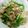 あいｾﾝｾｲ's cooksnap of when they made アスパラと豚肉の胡麻生姜炒め.