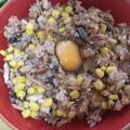 （＊あωや＊）'s cooksnap of when they made スキレットで包まない秋刀魚オムライス.