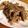 〜tinr～'s cooksnap of when they made 豚バラ肉と玉ねぎのさっぱり梅肉ソース炒め.
