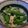 sakuni's cooksnap of when they made いんげんの生姜醤油.