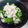倫子◇◇◇'s cooksnap of when they made ブロッコリーとささみのヨーグルトサラダ♪.