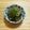 ピーナッツ子♪'s cooksnap of when they made 暑い日に簡単副菜♪なすのおひたし.