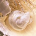 モケ缶's cooksnap of when they made ペットボトルで簡単メレンゲ！.